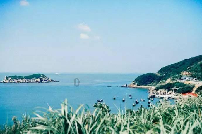逃出绿色公寓